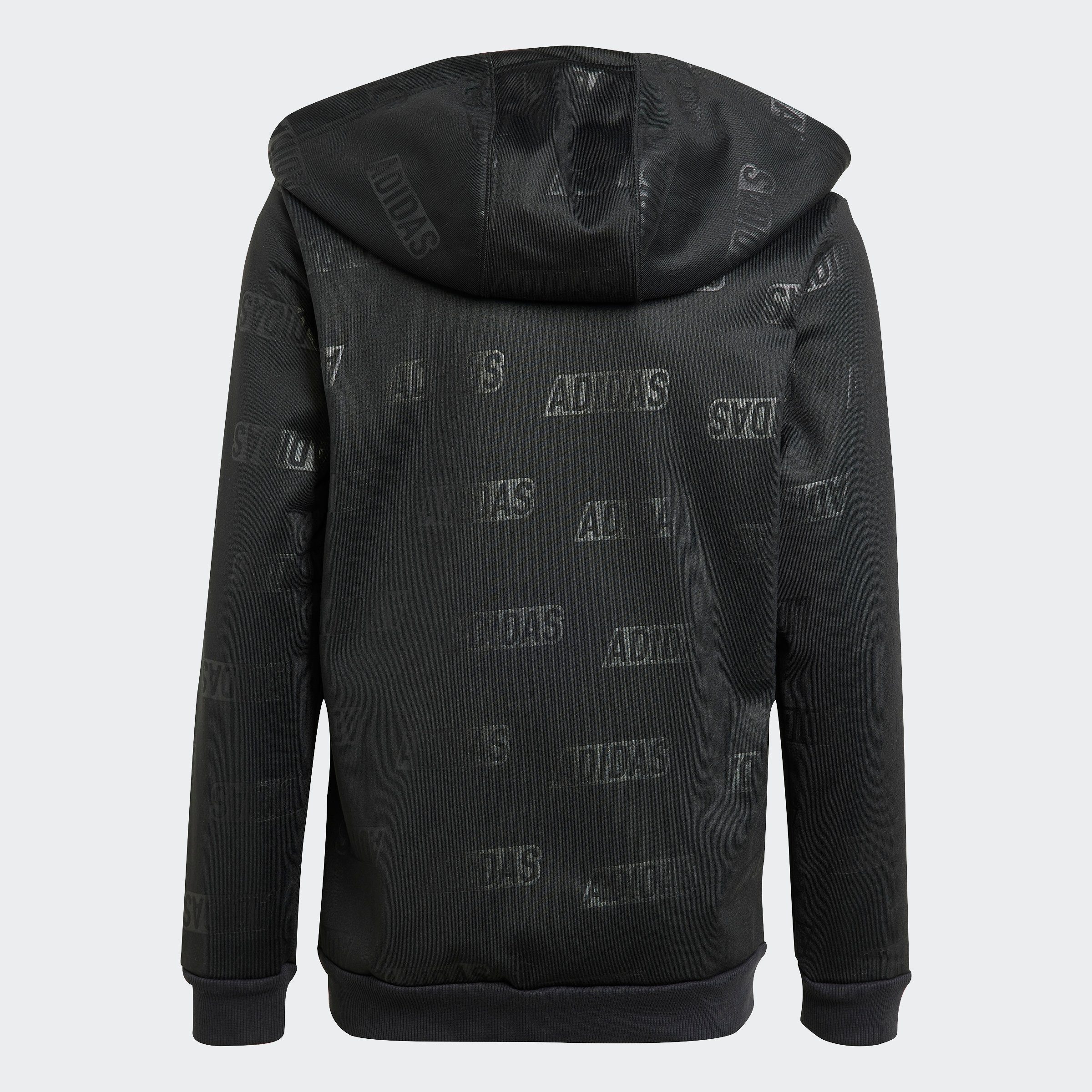 adidas Sportswear Sweatshirt B BLUV Q4 FZ HD