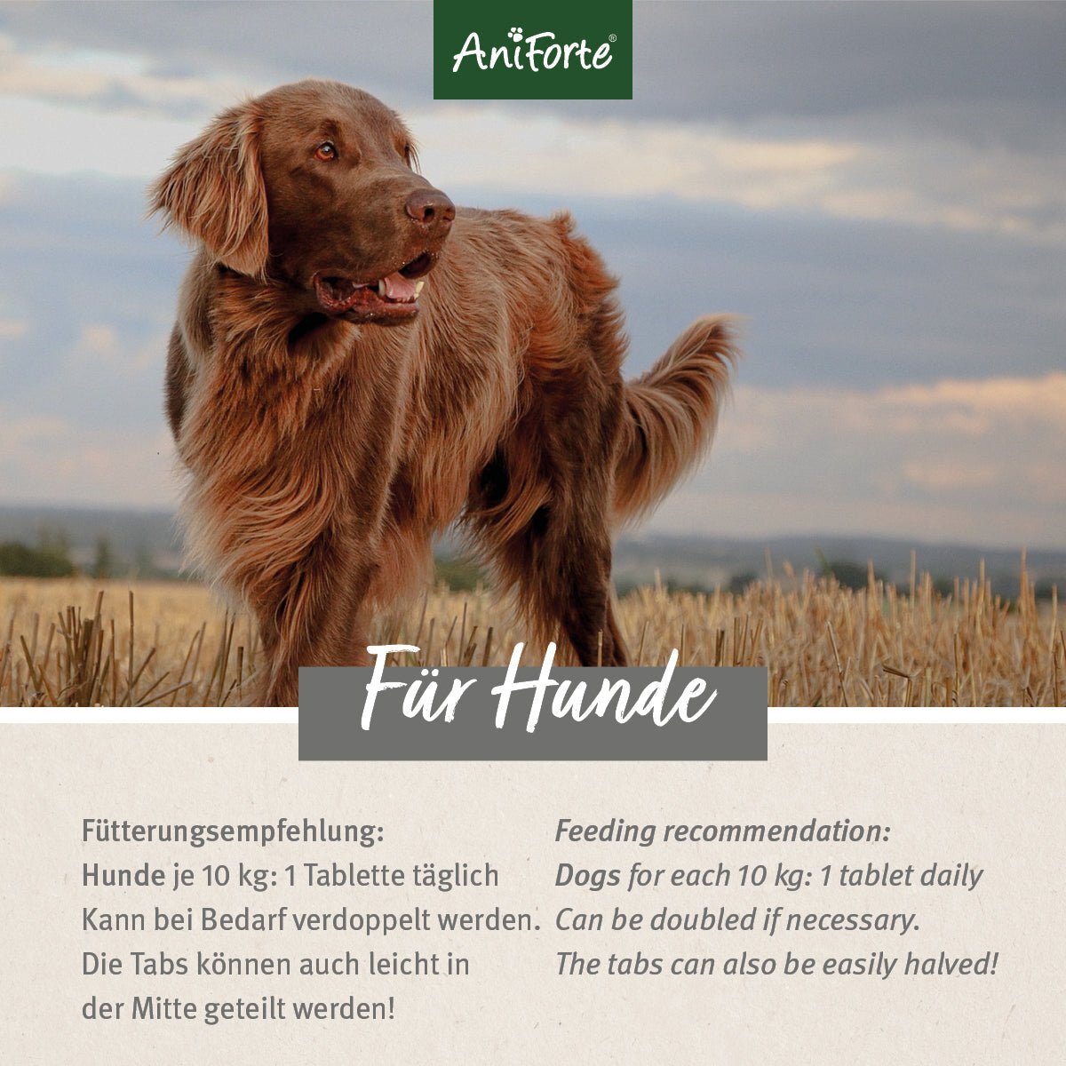 Aniforte Ergänzungsfutter & Aufzucht Aniforte AgilityVET Gelenktabletten 300 Stück