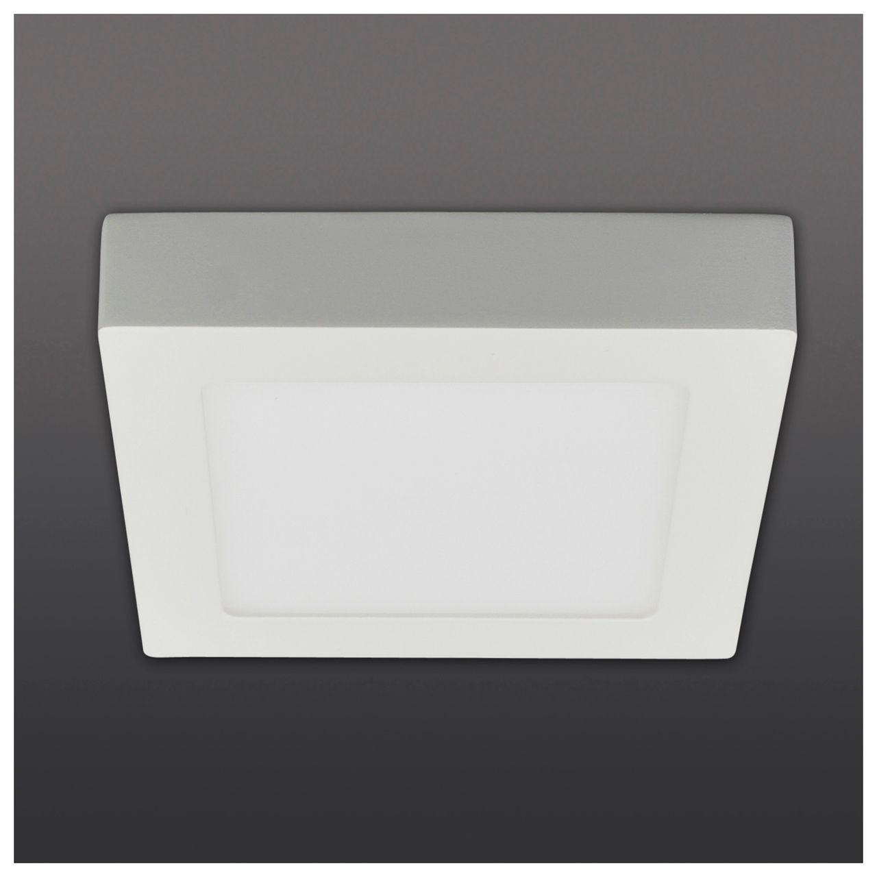 Näve Leuchten LED Deckenleuchte 