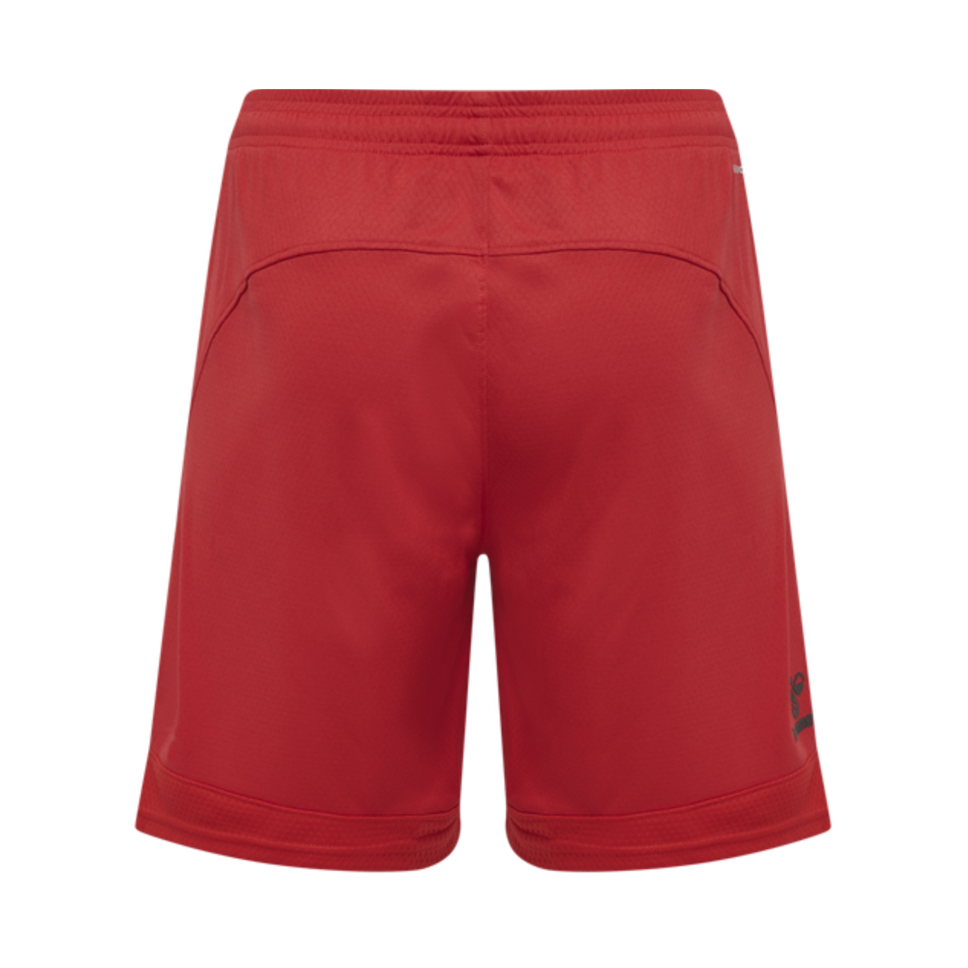 Hummel hmlLEAD Poly Short Rot F3062
