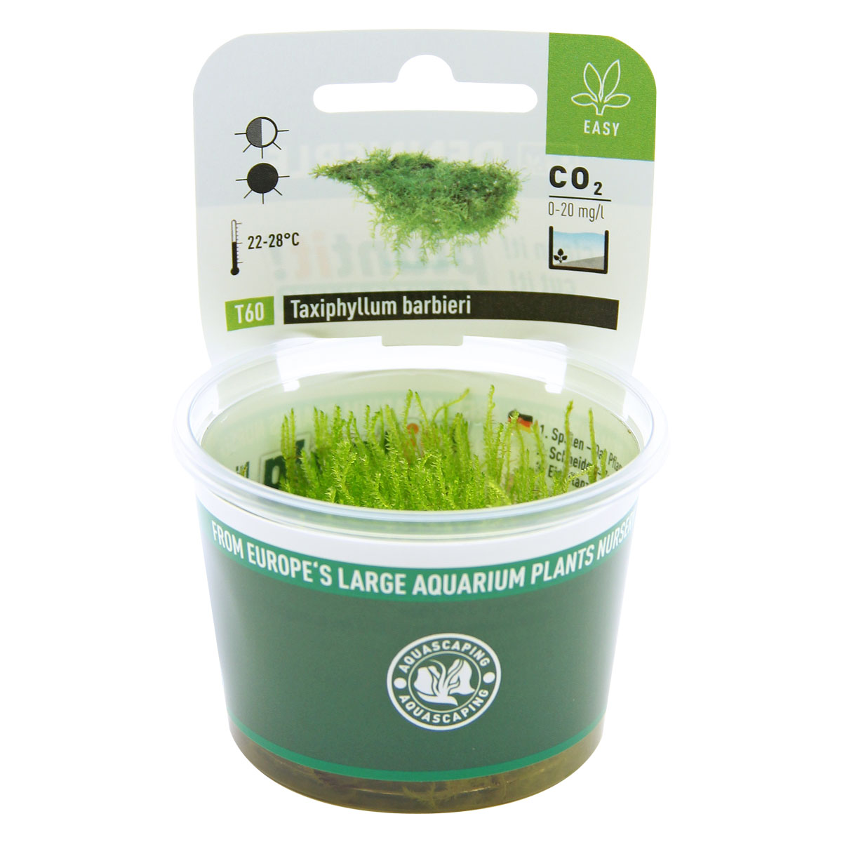 Dennerle Plants Taxiphyllum barbieri In-Vitro kaufen
