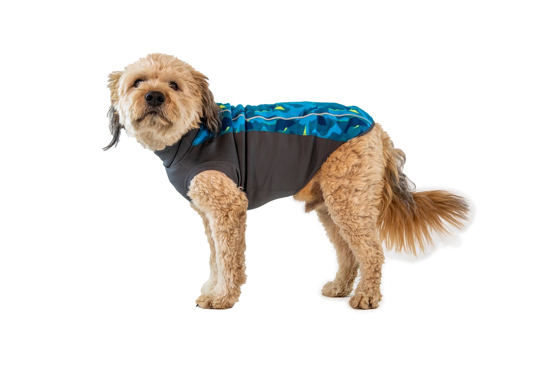 Ruffwear Hundemäntel Ruffwear Climate Changer™ Fleece-Pullover Für Hunde blau/ türkis/ schwarz L