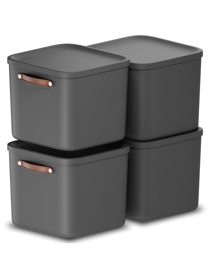 Rotho 4er-Set Kiste mit Deckel Maloja 40l in Holzkohle schwarz ged. günstig kaufen onesize