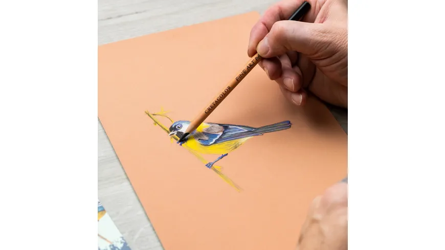 CRETACOLOR Fine Artist Pastel Pencils