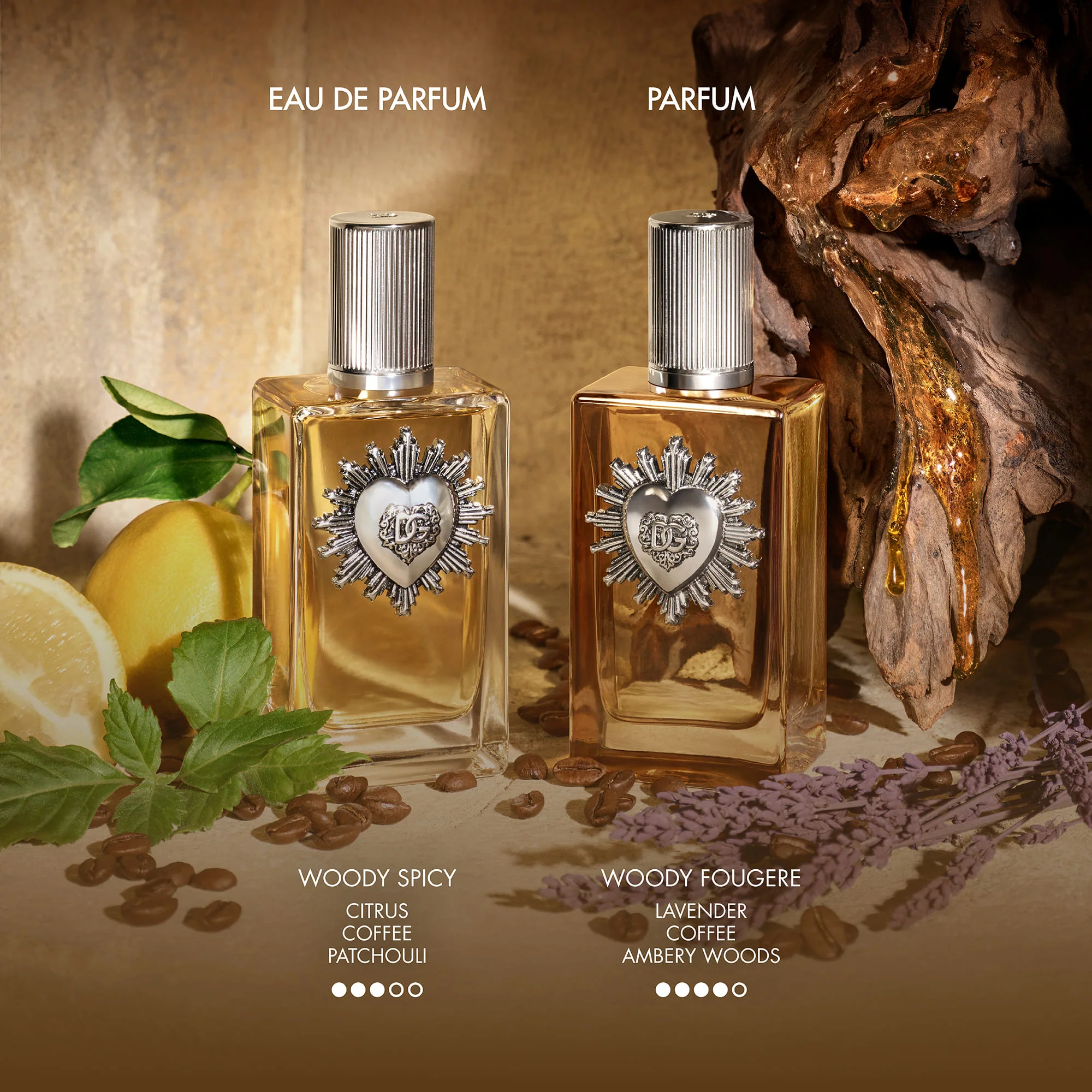Devotion For Men Parfum - Parfum for Men, Parfum