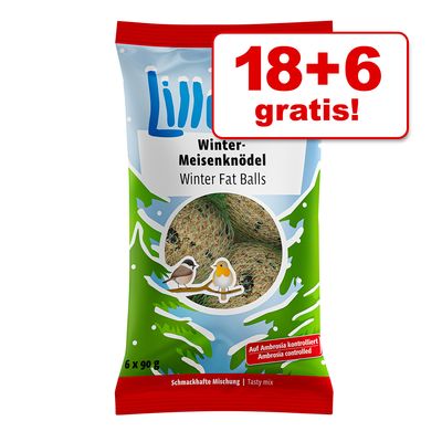 18 + 6 gratis! Lillebro Winter Meisenknödel