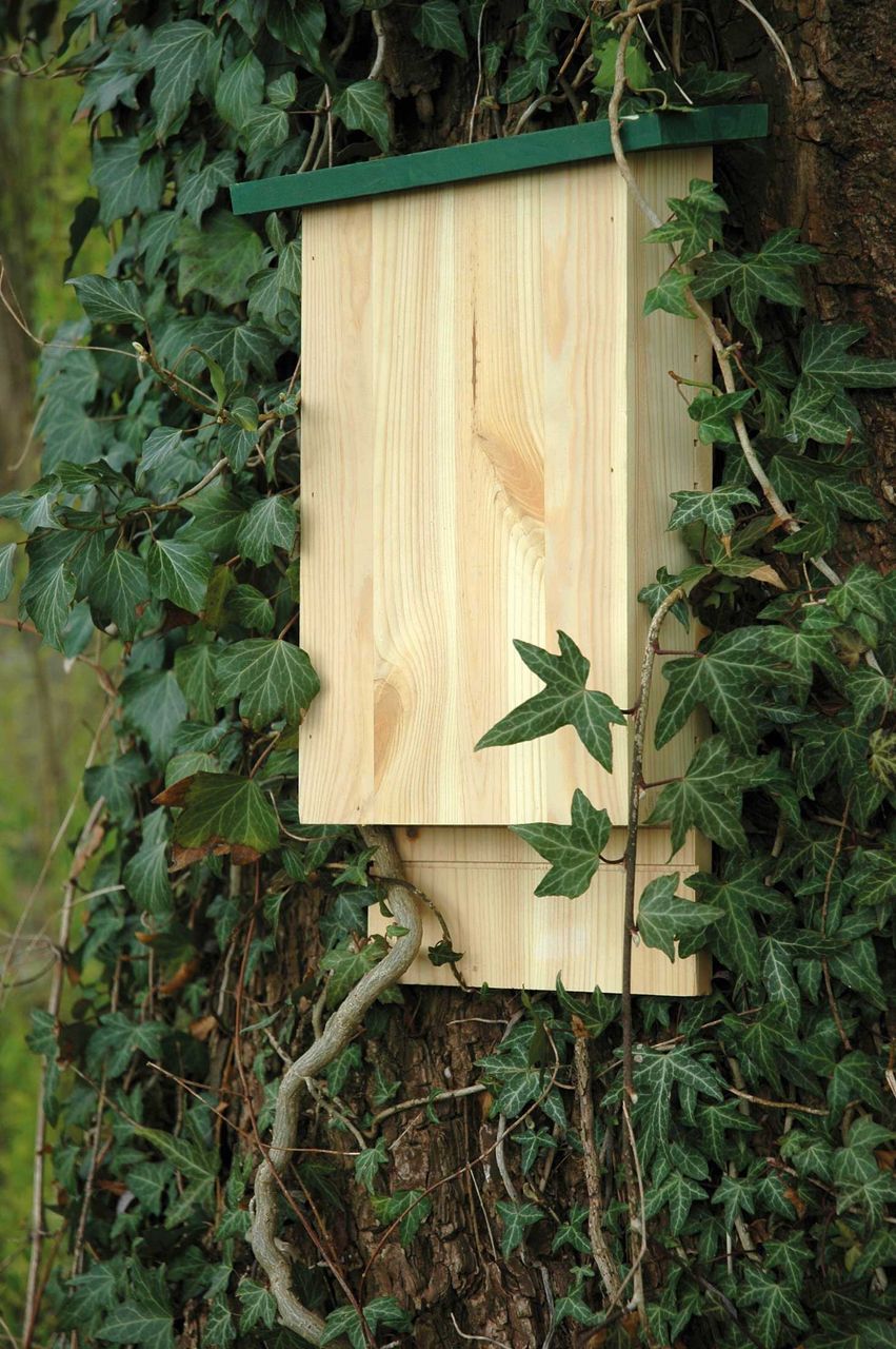 dobar Fledermauskasten 