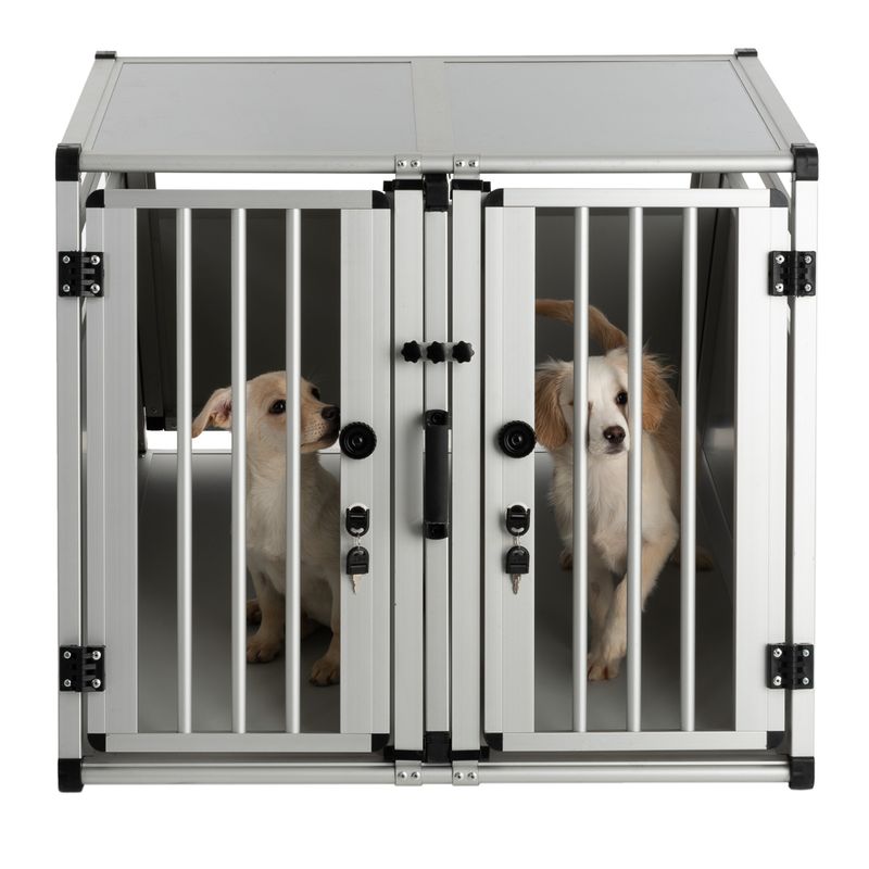 Autohundebox AluRide Doppelbox zu TOP-Preisen