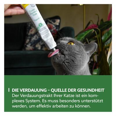 GimCat Gastro Intestinal Paste