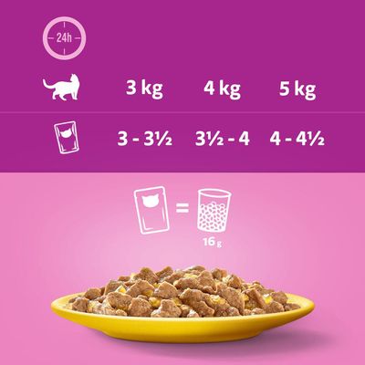 Megapack Whiskas 1+ Adult Frischebeutel 48 x 85 g