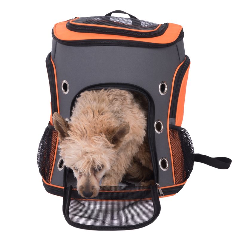 Rucksack Voyage zu TOP-Preisen