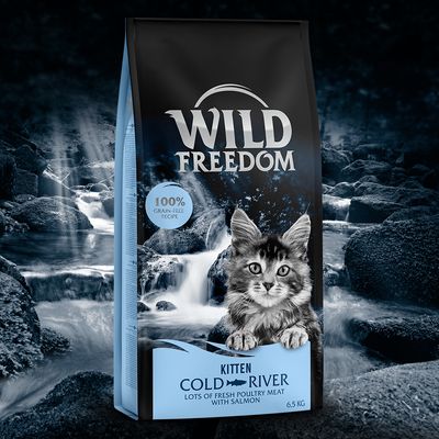 Wild Freedom Kitten 