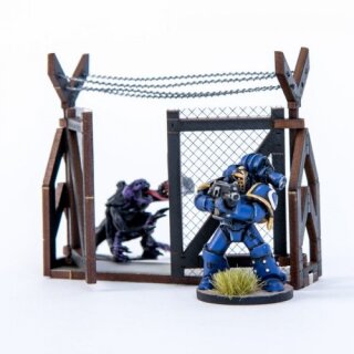 Wire Fence Gate Set
