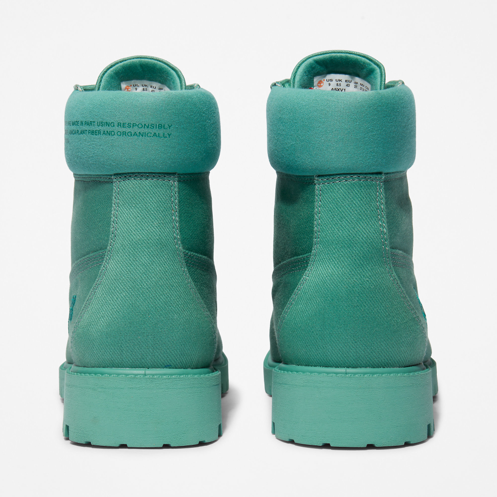 Timberland Pangaia X Premium Fabric 6 inch Boot TB0A5XV13571 / grün