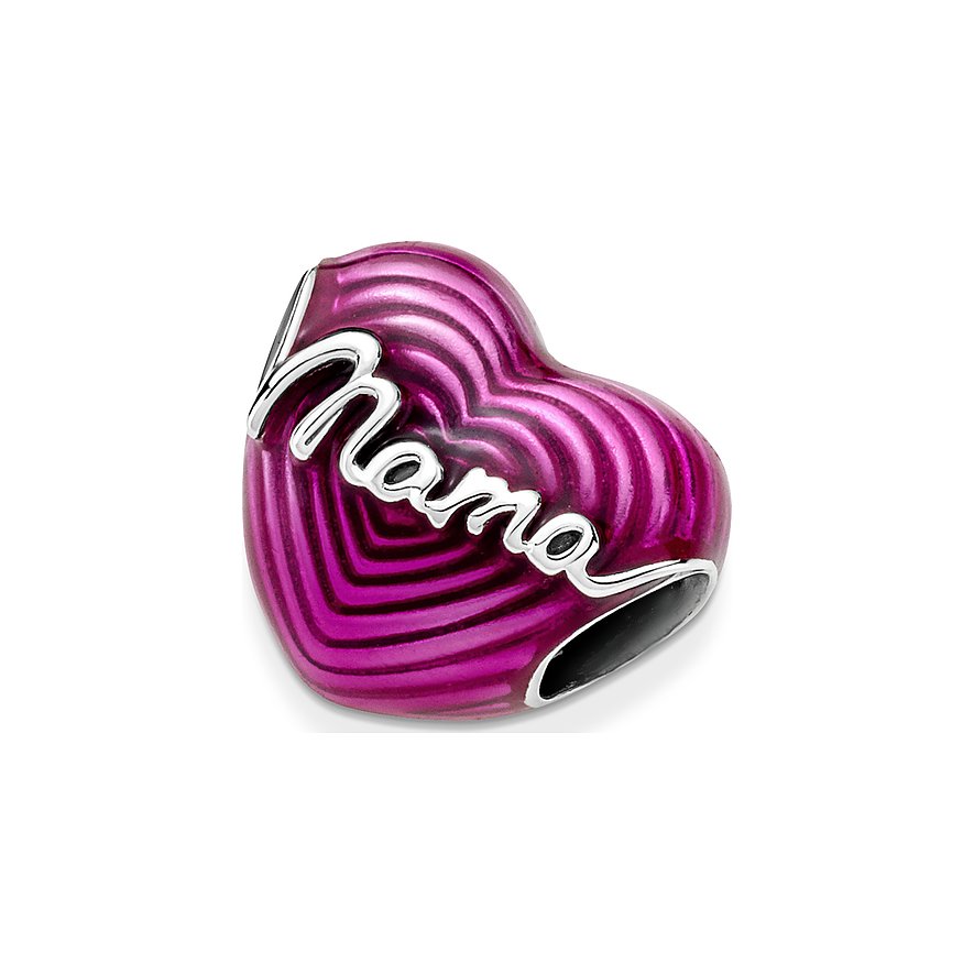 Pandora Charm Moments