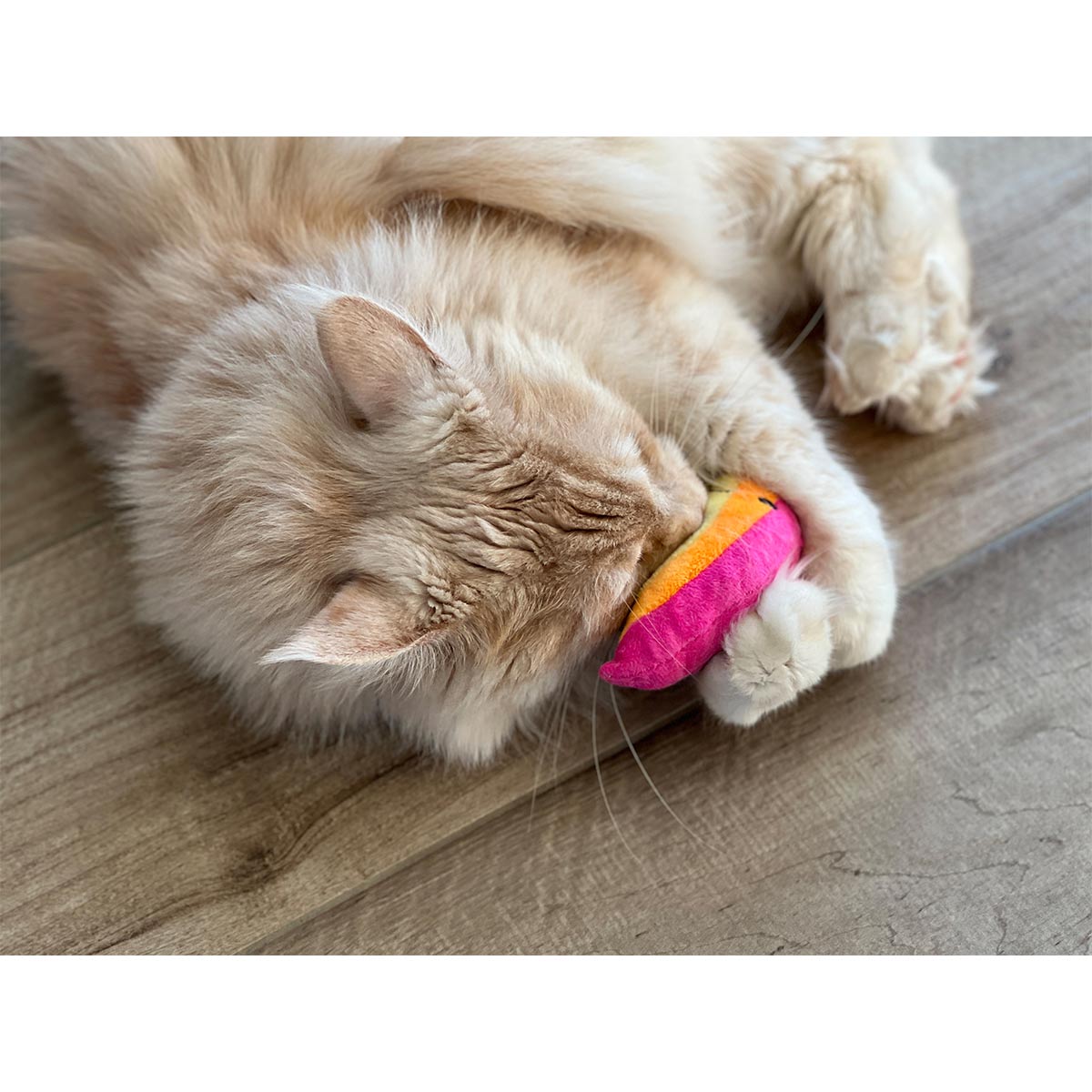 Aumüller Katzenspielkissen Regenbogen günstig kaufen