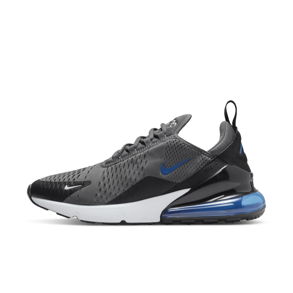 Nike Air Max 270 DV6494-001 / grau