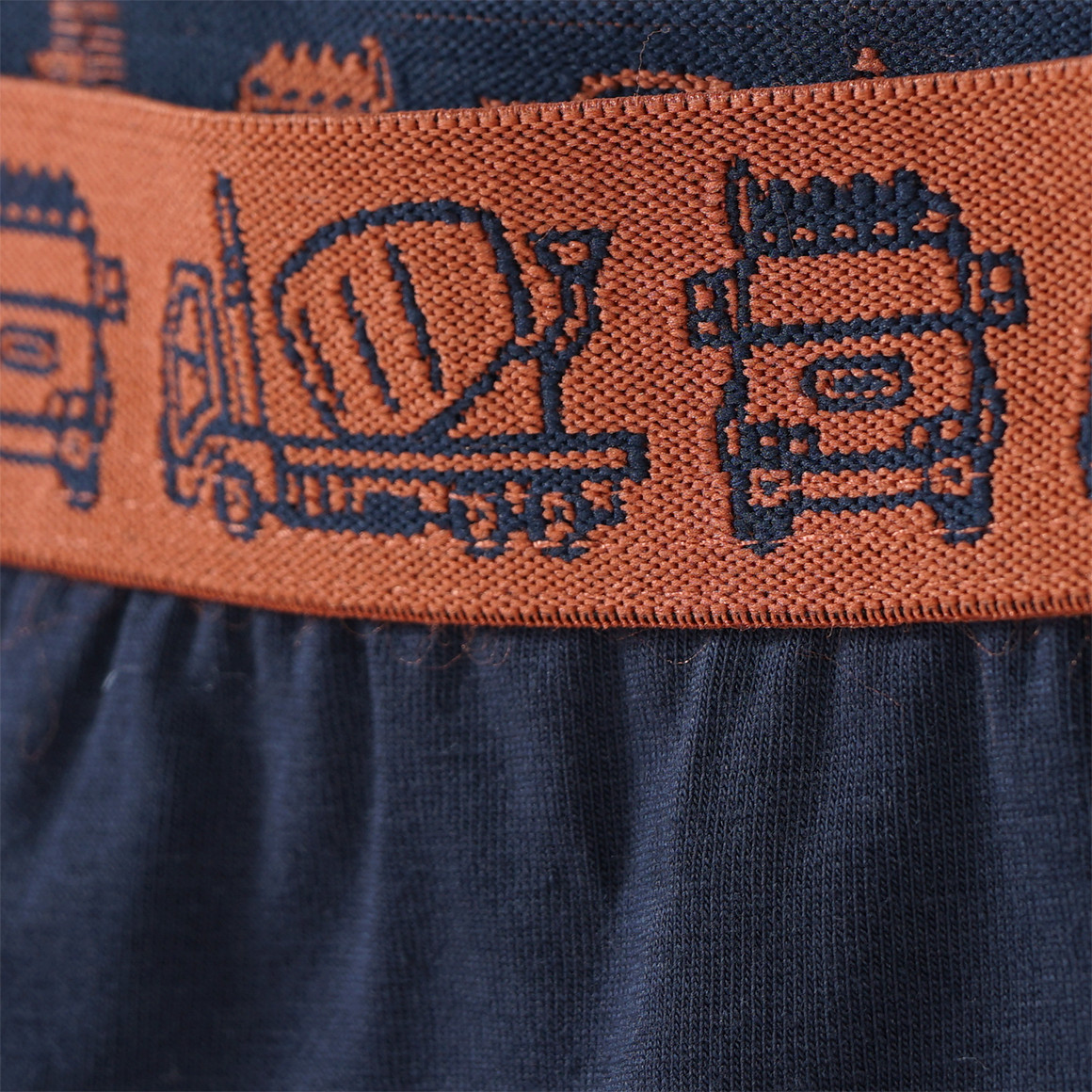 3 Jungen Boxer mit Webbund