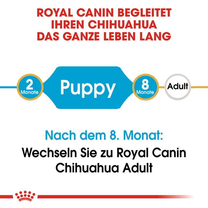 Royal Canin Chihuahua Puppy zu TOP-Preisen