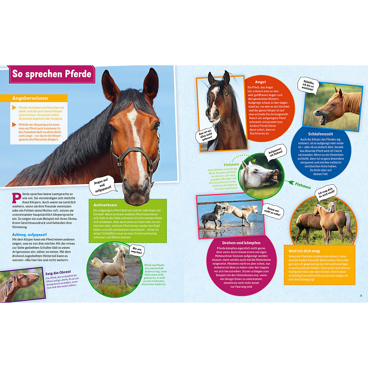 Was ist Was: Pferde und Ponys