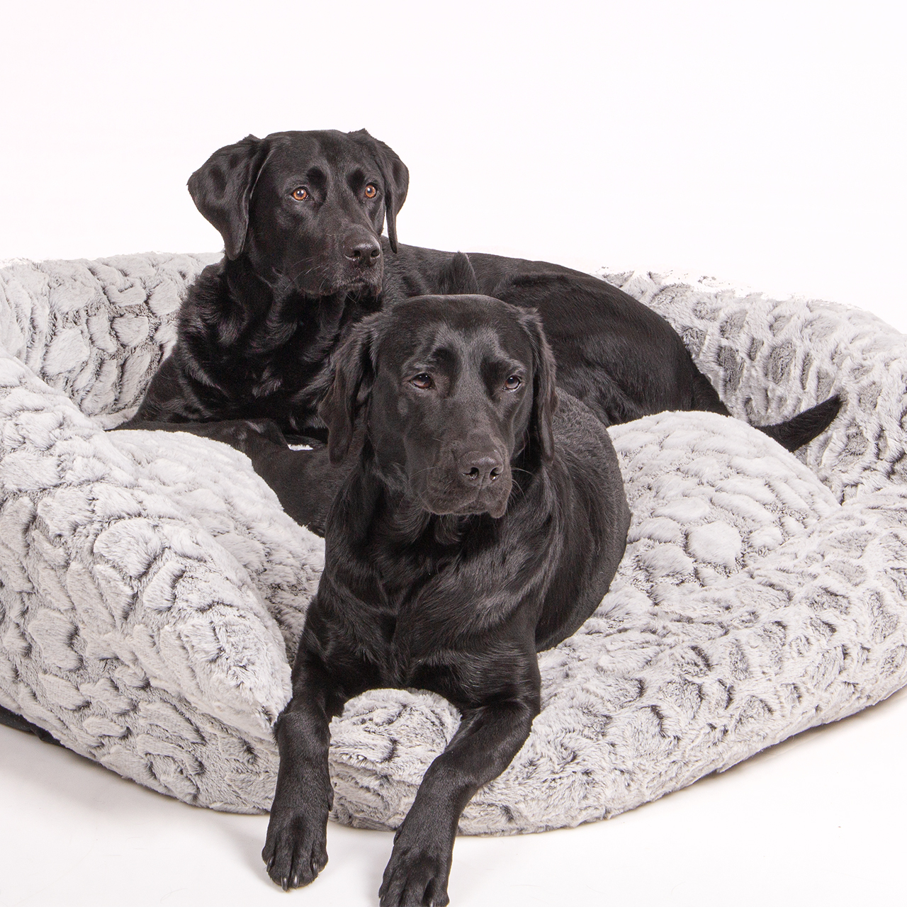 Wallace & Jones Hundebetten Wallace & Jones Hundebett Cordo-Heaven L