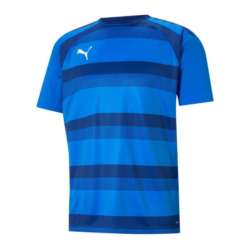 PUMA teamVISION Trikot Trikot Herren