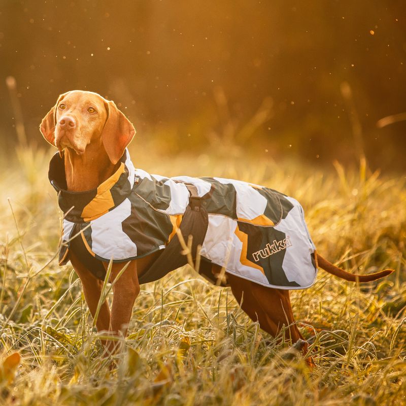 Rukka Stormy Hundemantel, camouflage zu TOP-Preisen | bitiba %