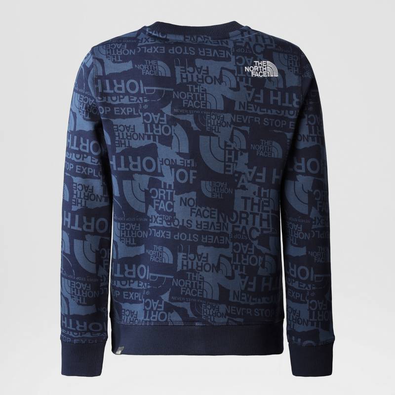 The North Face DREW PEAK LIGHT Sweatshirt Jungen