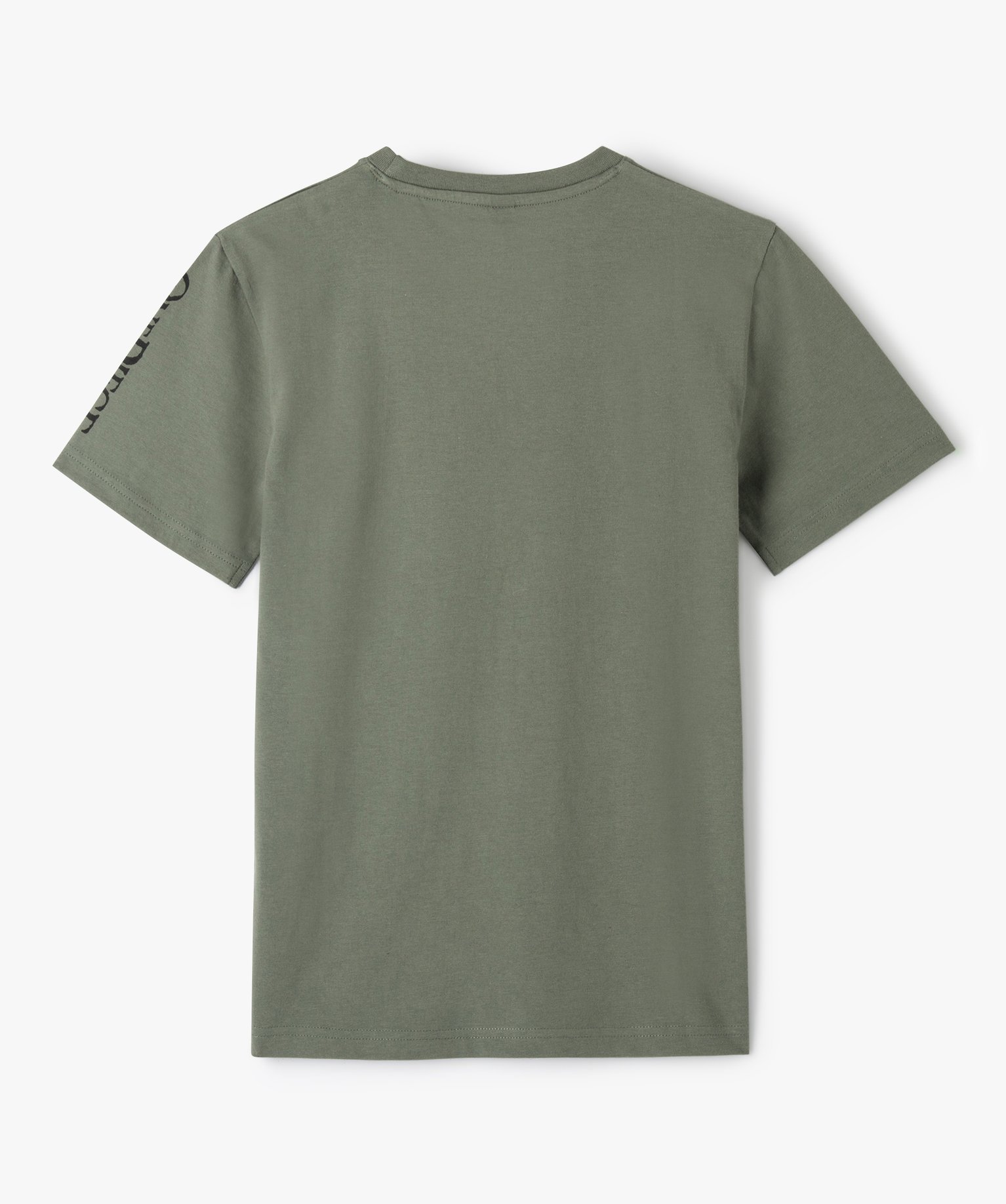 Tee-shirt à manches courtes à motifs manga Garçon - One P... kaki | GEMO