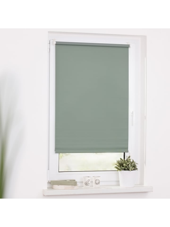 Lichtblick Seitenzugrollo in Salbei günstig kaufen