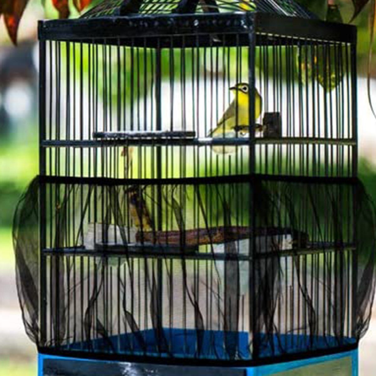 Juoungle Vogelkäfig 1 Stück Universal-Vogelkäfig-Abdeckung aus Nylon-Netz, Schwarz