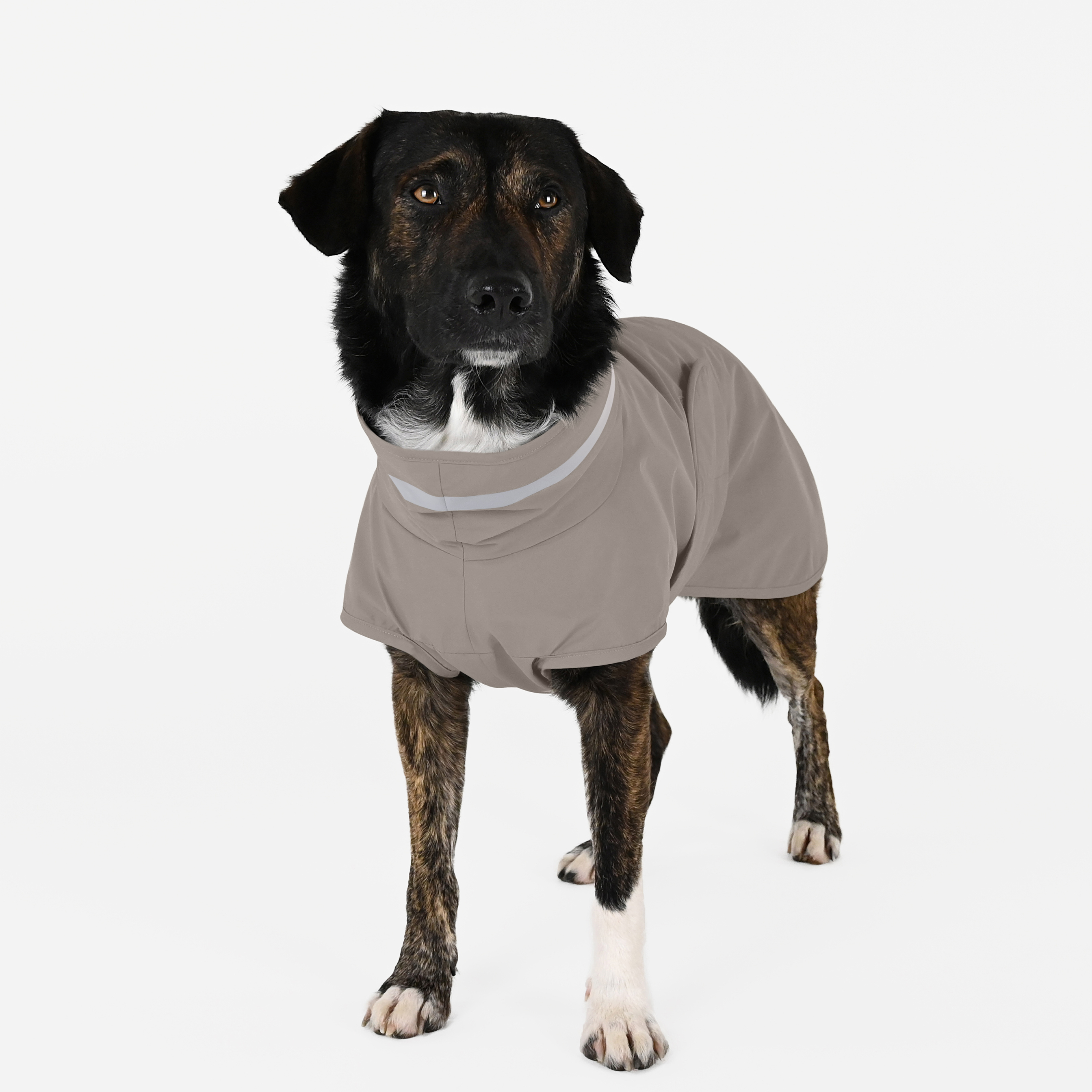 THE DOG IDEA Hundemäntel THE DOG IDEA Regenmantel Kayden Greige S
