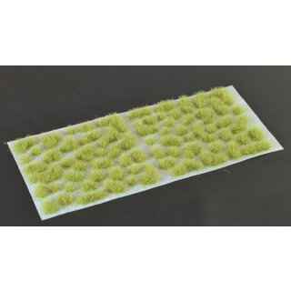 Light Green 4mm Wild
