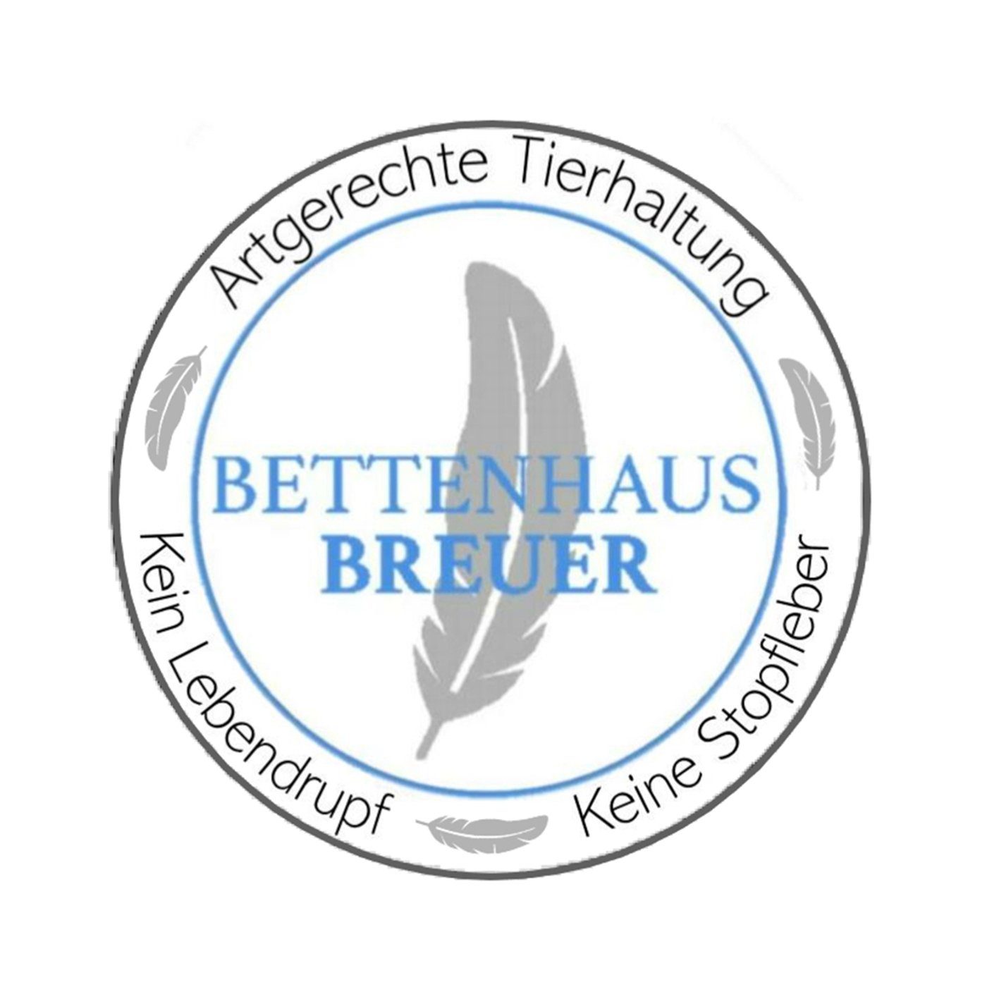 Daunenkissen Kopfkissen 100% sibirische Daunen 720g extra weich prall dick 80x80, Bettenhaus Breuer, Füllung: 100% Daunen, Bezug: 100% Baumwolle, Seitenschläfer, Rückenschläfer, Bauchschläfer, hergestellt in Deutschland