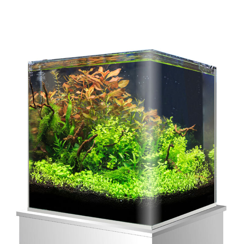 Amtra Nano-Aquarien Amtra Nanotank Glasbecken 18 l