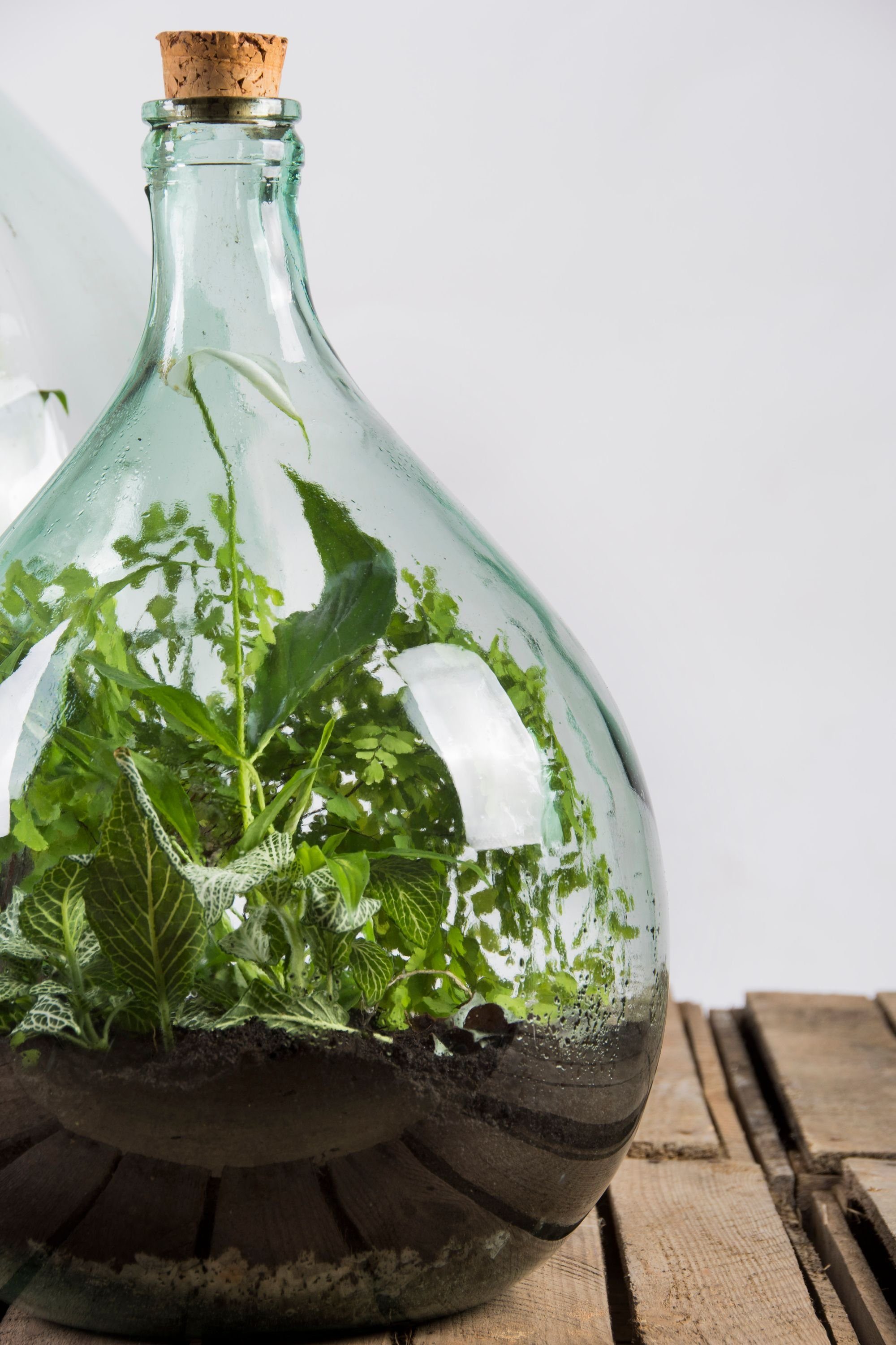 esschert design Übertopf Esschert Design Blumenerde 2 kg 5 Liter Terrarium Gewächshaus Erde Substrat