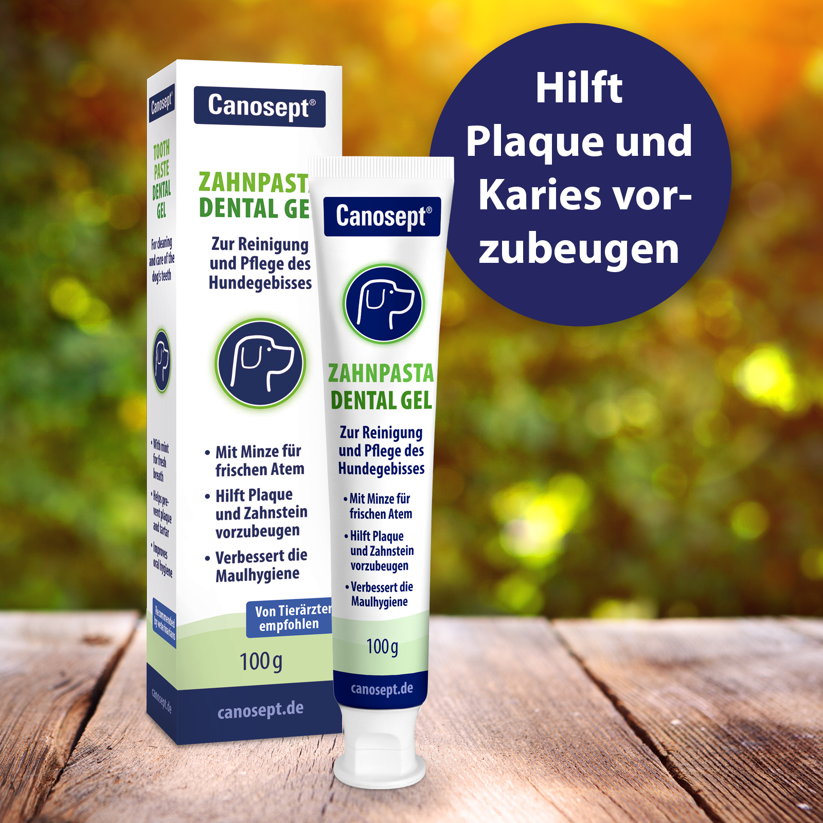 Canosept Zahnpflege Canosept Zahnpflege Dental Gel 100g