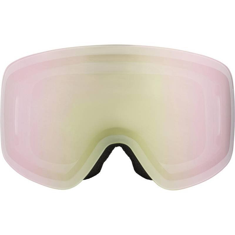 ALPINA Penken Skibrille