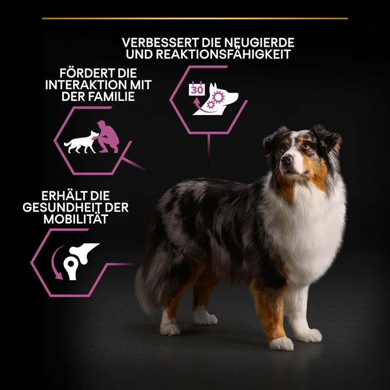 PURINA PRO PLAN Medium & Large Adult 7+ Age Defence