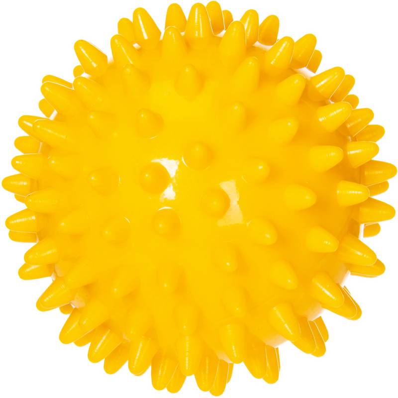 ALEX Faszienball