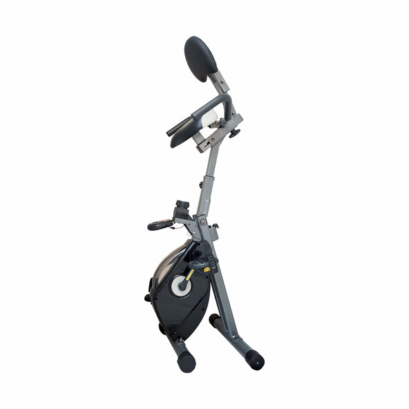 Senior Liegeheimtrainer Nestor