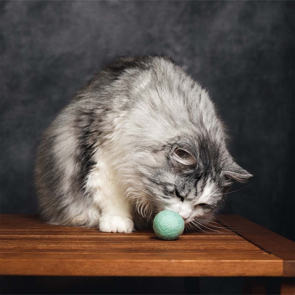 CATLABS Katzenspielzeug Flinke Filzbälle 2er-Pack