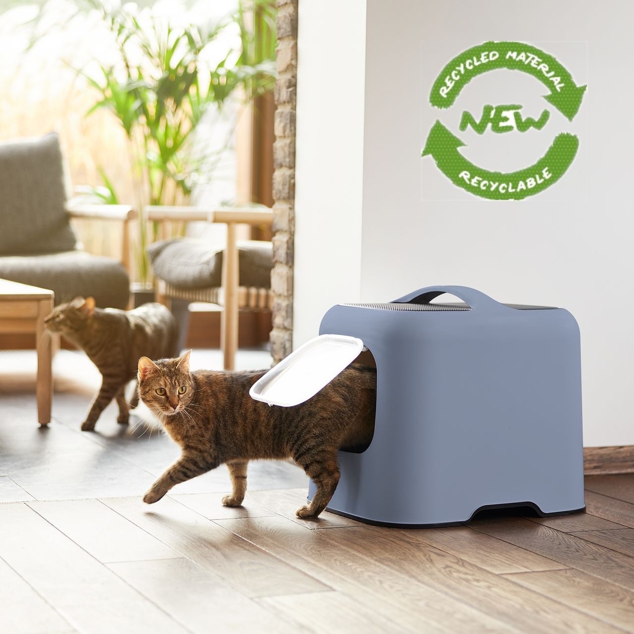Rotho MyPet Biala Katzenklo mit Haube und Schaufel, blau/anthrazit, recycletes Material