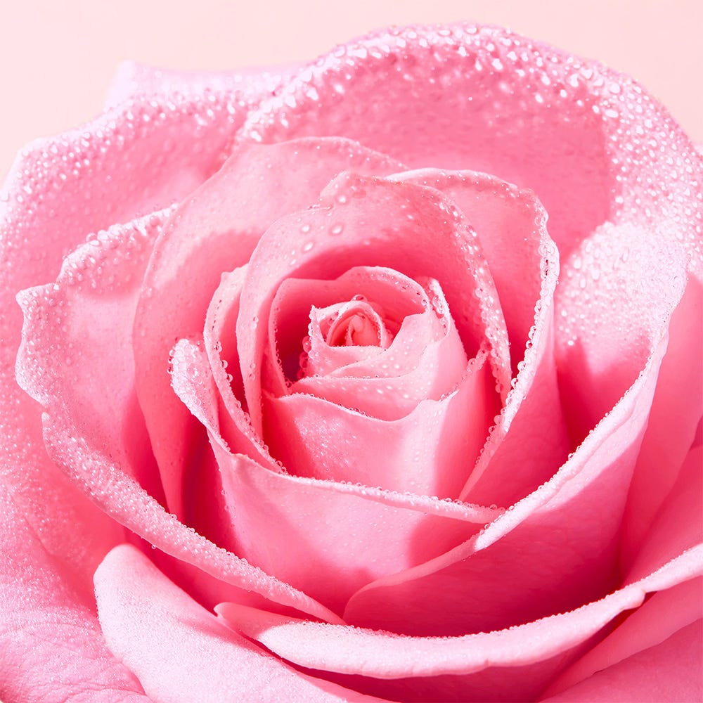 NUXE Very Rose Mizellen Reinigungsöl 150 ml