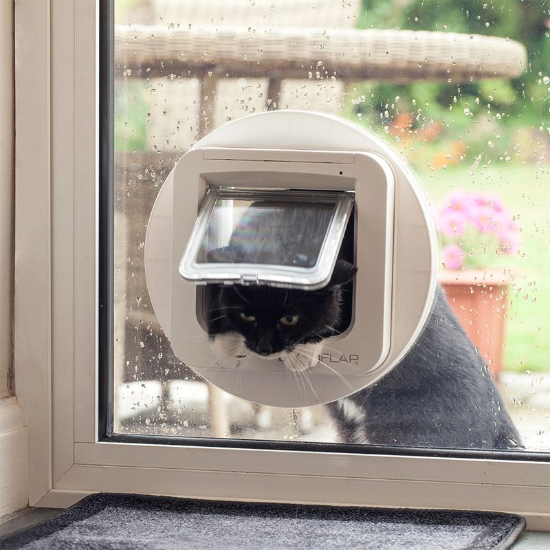 SureFlap Katzenklappe mit Chip zu TOP-Preisen