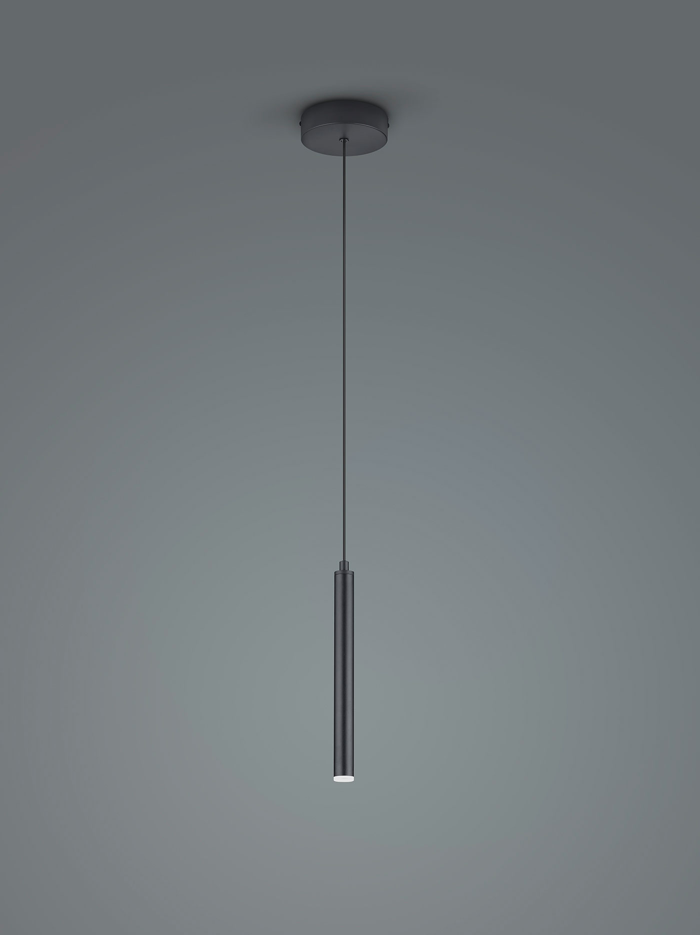 MusterringLED-Pendelleuchte 1flg