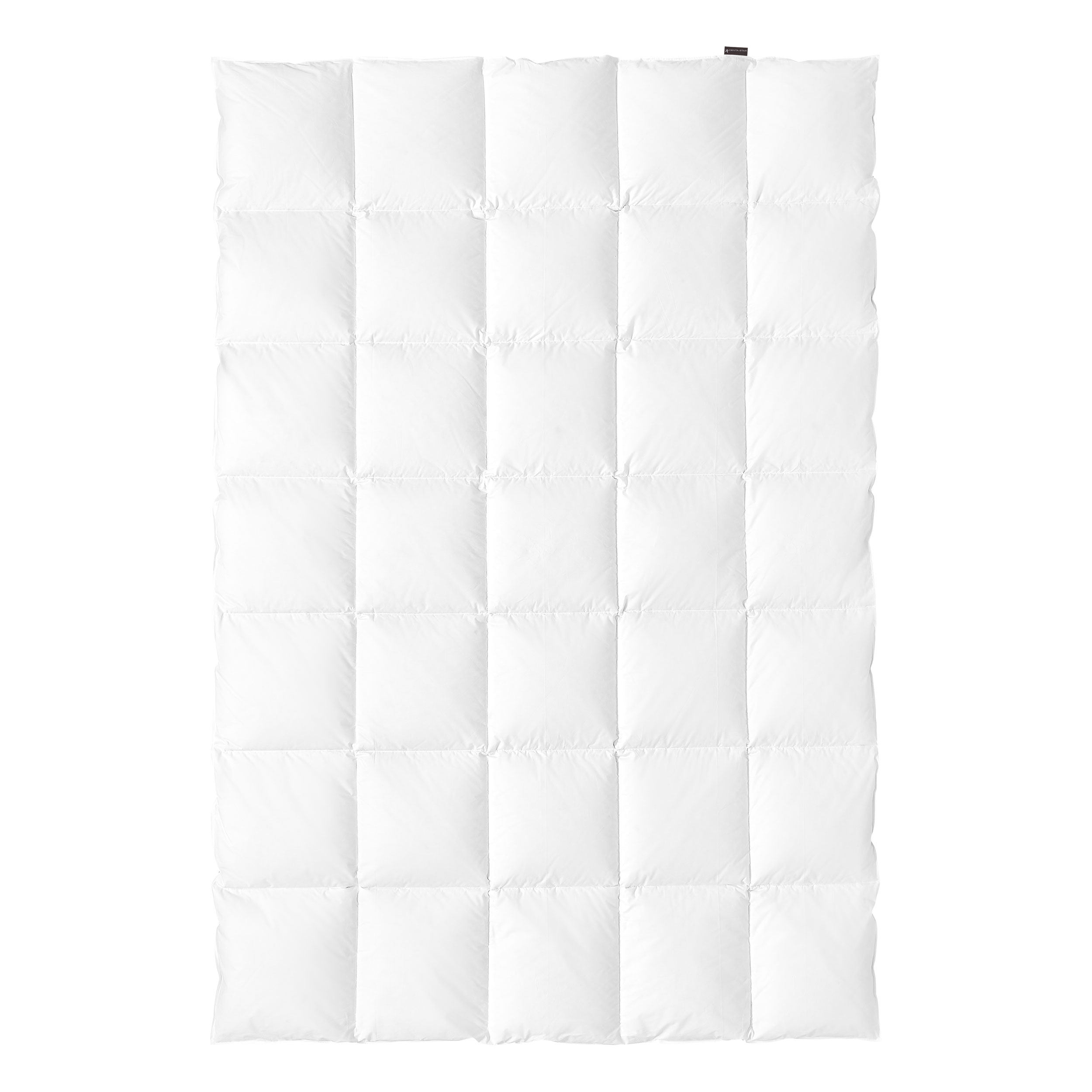 CENTA-STARGanzjahresbett 660g (medium)