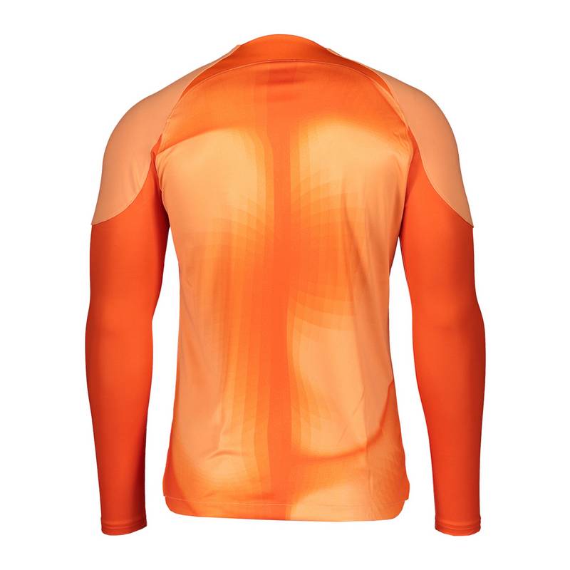 Nike Gardien IV Torwarttrikot langarm Kids Trikot Kinder