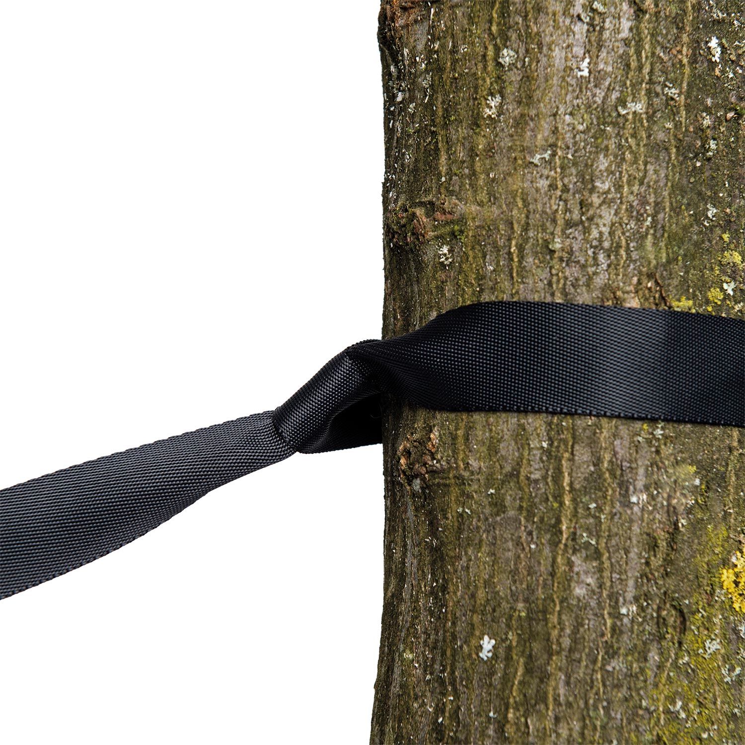 Tree Hugger Baumschutz und Verlängerung