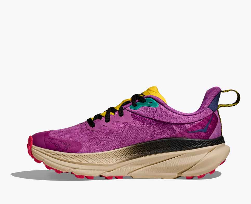 Challenger 7 GORE-TEX Superbloom / Oatmeal